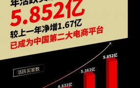 拼多多黄峥发布2020年度致股东信:新生之时 把握今朝